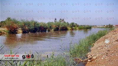 فلاحو دمياط يطالبون المحافظ بتطهير الترع وإصلاح مكابس الأرز