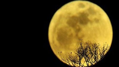 الأرض تشهد ظاهرة 