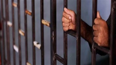 جنايات المنيا تعاقب محاميا وآخر بالسجن 3 سنوات فى قضية تزوير