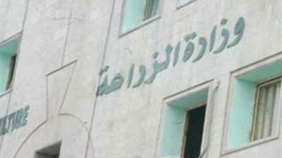 الزراعة تكشف مافيا تجارة المبيدات.. 70% من التجار لا يمتلكون دفاتر فواتير.. 40% من المزارعين لا يهتمون إذا كانت المبيدات مغشوشة.. 52% من المرشدين ليس لديهم معلومات عن المبيدات