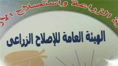 معاقبة عضو قانوني بـ