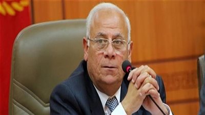 محافظ بورسعيد يأمر بالتحفظ على سيارات تجميع البضائع المهربة