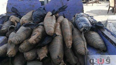 التحفظ على سيارة بداخلها 78 كيلو بانجو بالإسماعيلية