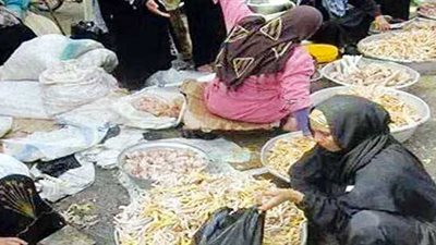 رواج في سوق «هياكل الدجاج» بالفيوم بسبب ارتفاع الأسعار