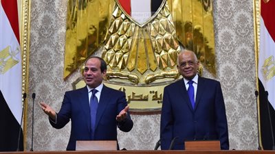 أهالي الغربية للسيسي: نريدك أن تحارب لخفض الأسعار (فيديو)