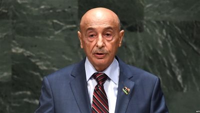 رئيس البرلمان الليبي يشيد بانتصارات الجيش في بنغازي