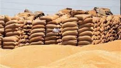 «التموين»: احتياطي القمح يكفي حتى نهاية فبراير المقبل