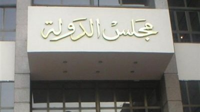 «حقوقي»: مجلس الدولة ينتصر للحريات وحقوق الإنسان