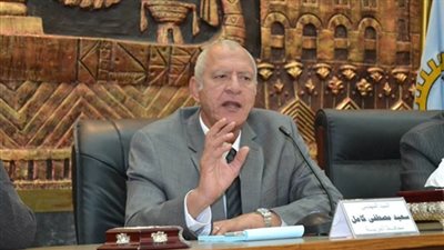 محافظ الغربية يقرر علاج نجل الحداد المنتحر بالمحلة على نفقة الدولة