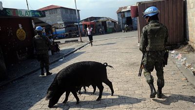 الاغتصاب مقابل الحماية.. قوات أممية ترتكب جريمة أخلاقية مروعة فى هايتى