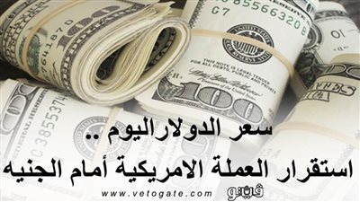سعر الدولار اليوم .. استقرار العملة الأمريكية أمام الجنيه