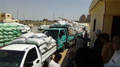 توريد 341 ألفا و500 طن قمح للصوامع والشون في المنيا