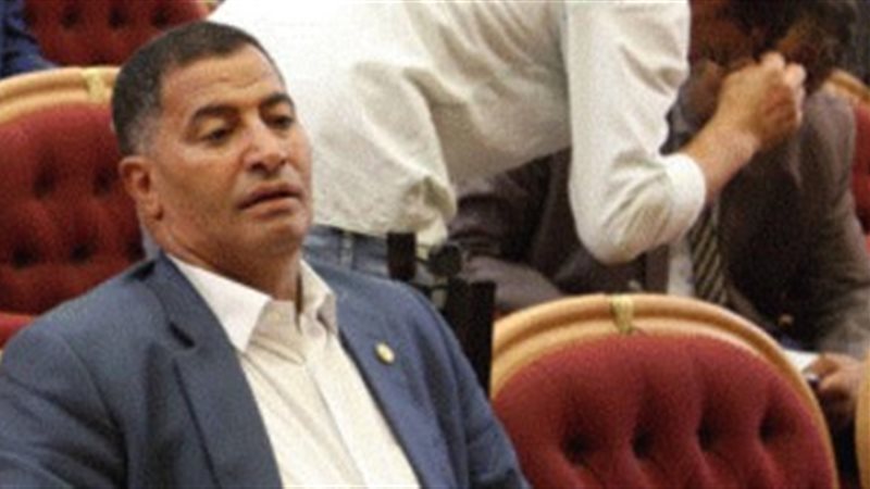  النائب البدرى ضيف،