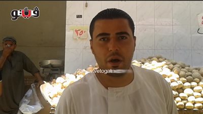 بالفيديو.. استقرار أسعار الخضراوات والطماطم بـ3 جنيهات في الجيزة