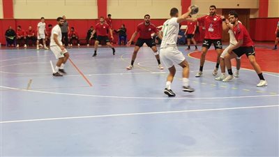 منتخب اليد يهزم العراق وديا استعدادا للأمم الأفريقية