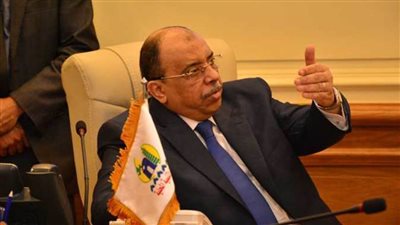 شعراوي: 5 مليارات جنيه لتطوير 5 قرى بكل محافظة