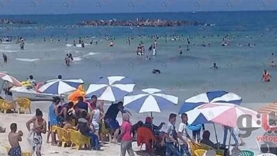 4 أسباب وراء ضعف الإقبال على «المصايف».. ارتفاع أسعار الفنادق والشقق المستأجرة.. غزو قناديل البحر والتخوف من سمومها.. تأجير الشواطئ العامة ودخولها مزادات.. وزيادات الوقود ضمن القائمة