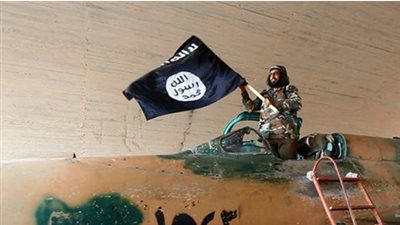 عسكريون يؤكدون: عناصر 