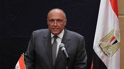 وزير الخارجية يتلقى اتصالا هاتفيا من نظيره الإيطالي