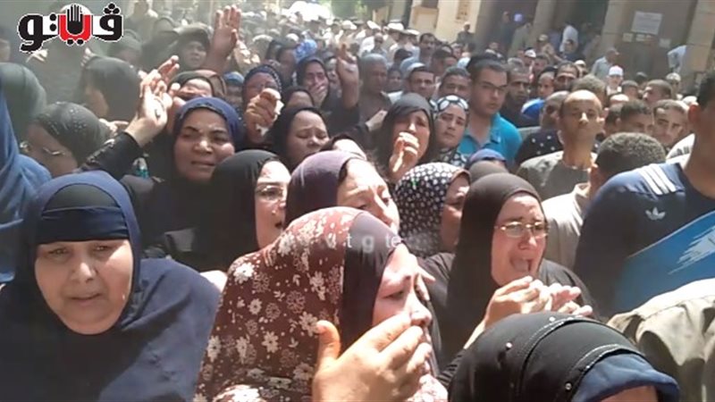 فيتو
