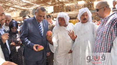 محافظ الجيزة: الأسعار بسوق الجملة تقل 70% عن التجزئة