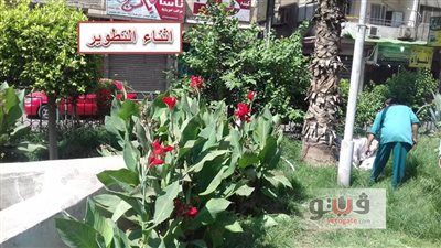 بالصور.. الانتهاء من تطوير حديقة «أرض شريف» بشارع محمد علي