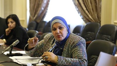 مايسة عطوة: عمل توصيات عن تواصل سكرتارية المرأة بوزيرة الهجرة