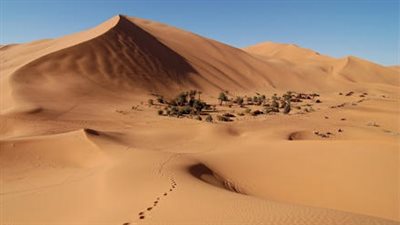 جمعية تكنولوجيا الصحراء يقع اختيارها على مصر لإقامة مؤتمرها الدولى 2015