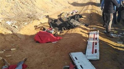 حبس السائق المتسبب في مصرع 12 شخصا بحادث المنوفية