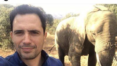 ظافر العابدين يتجول في غابة مع فيل