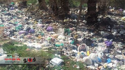 بالصور.. سنانية دمياط تغرق فى أكوام القمامة