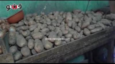 فيديو.. تباين أسعار الخضروات بأسواق الجيزة