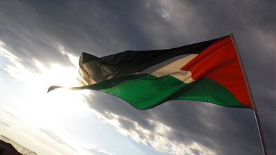 «هنا أمستردام»: فلسطين الأقل في نسب العنوسة بين الدول العربية