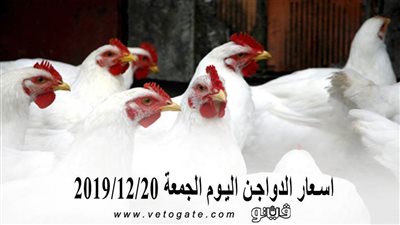 اسعار الدواجن اليوم الجمعة 2019/12/20