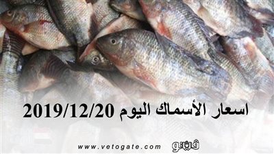 اسعار الأسماك اليوم 2019/12/20 في سوق العبور لتجارة الجملة