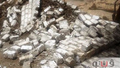 بالصور.. إزالة 8 حالات تعد على أراضي زراعية في سوهاج