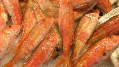 «سمك بربون» يسجل 17 جنيها بسوق العبور