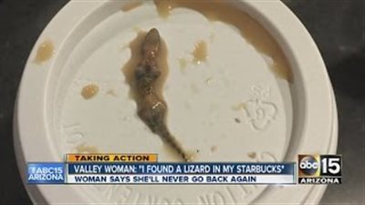 بالفيديو.. لحظة عثور امرأة على «سحلية» داخل فنجان قهوة