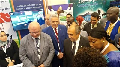 الموالح والبطاطس تتصدران الصادرات الزراعية المصرية في ٢٠١٩