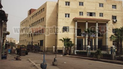 موظفو حى الجمرك يشكون تجار الأسماك لمحافظ الإسكندرية