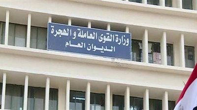 الوقائع المصرية تنشر شهادة تأسيس منظمة العاملين بشركة ليوني وايرنج