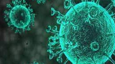 استشاري فيروسات: الموجات فوق الصوتية تؤثر بالسلب على الغلاف الخارجي لكورونا