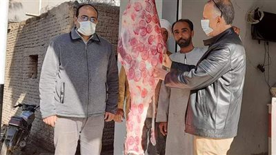 ضبط 105 كيلو لحوم و13 محلا بدون تراخيص وشهادات صحية بالدقهلية | صور