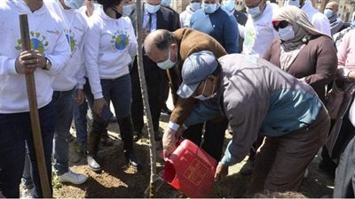 اتحضر للأخضر.. انطلاق فعاليات زراعة 1000 شجرة بأسيوط | فيديو