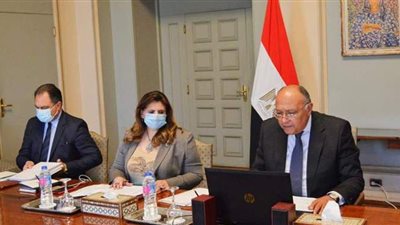 وزير الخارجية يشارك في الاجتماع الوزاري لمجلس السلم والأمن الأفريقي