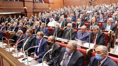 نص تعديلات الحكومة على قانون القطن المقدم للشيوخ