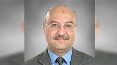 شعبة المستوردين: زيادة الصادرات بسبب توقف مصانع أوروبا