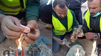 نجمة داوود على جماجم الحيوانات.. تطهير مقابر بنى سويف من أعمال السحر الأسود | صور