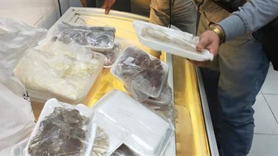 ضبط وإعدام طن دواجن وزيوت غير صالحة في الدقهلية | صور