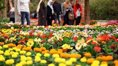 وداعا للشتاء.. بدء فصل الربيع فلكيا اليوم